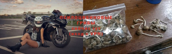 дурь Белокуриха