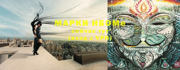 СК Беломорск